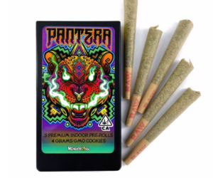 '-20% 5-PACK PANTERA BOX 4G - WONDERLAND