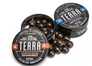 20-pack BITES - TERRA